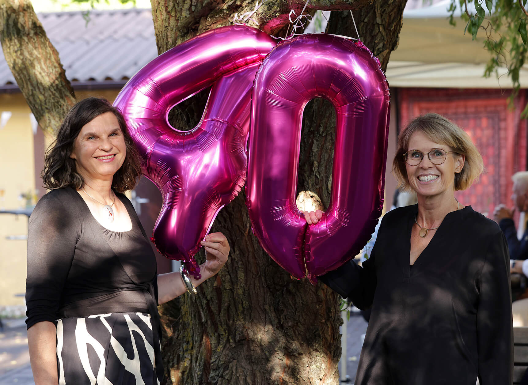 40 Jahre Impala Tours