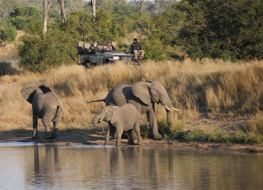 suedafrika safari pirschfahrt scheidt