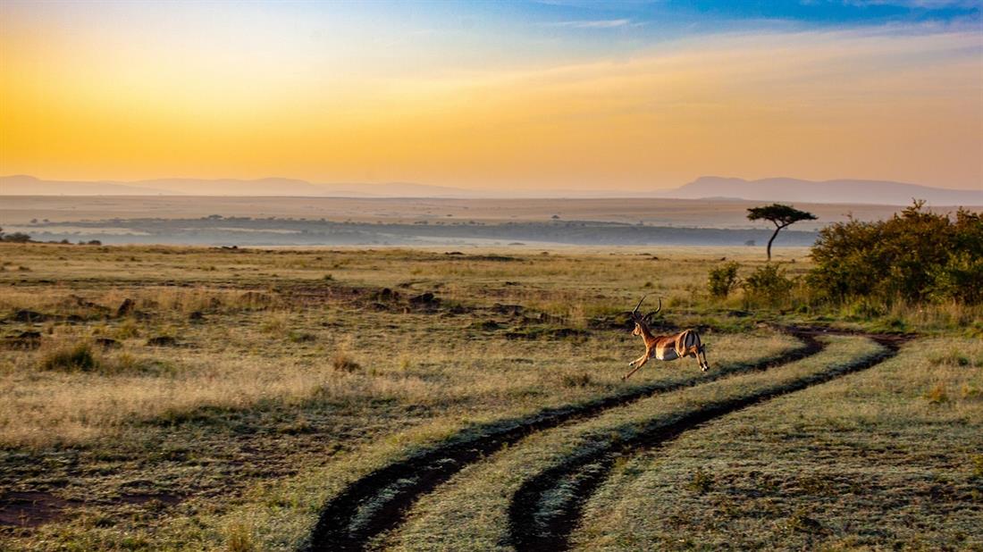 suedliches afrika safari serengeti