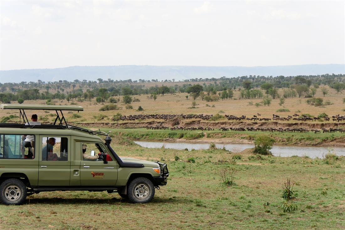 tansania safari serengeti sch